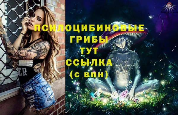 молекула духа Алзамай