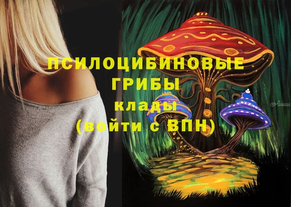 2c-b Абдулино