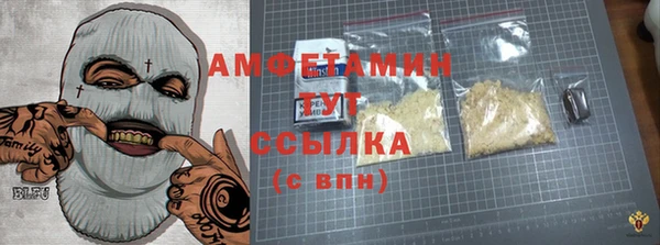 молекула духа Алзамай